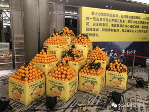 根號二 奉節(jié)臍橙的品牌敘事與幾何之詩