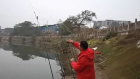 奉節(jié)臍橙，一口甜入心扉